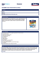 View PDF