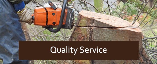 Radial Tree Solutions - Promotion 2
