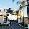 Cut Above Tree Care (Aust) Pty Ltd - Pic 6