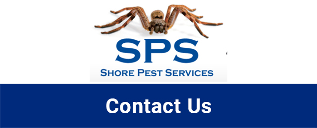 Shore Pest Services - Promotion 1