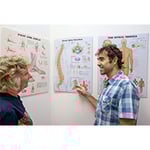 Cairns Innovative Physiotherapy - Pic 8