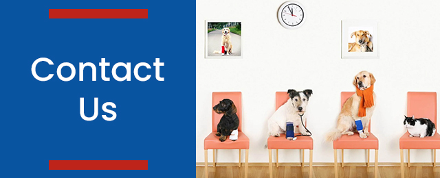 Wetherill Park Veterinary Surgeons - Promotion 1