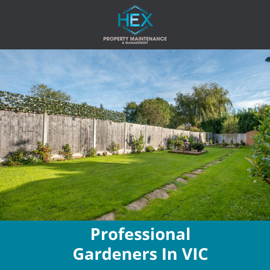 HEX Property Maintenance & Management - Promotion