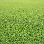 Melbourne Turf Supplies. - Pic 9
