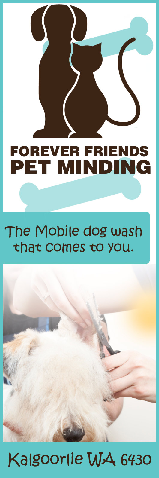 Forever Friends Pet Minding Mobile Dog wash & Grooming Services Dog