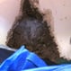 Termite Damage