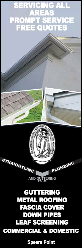 Straightline Plumbing And Guttering - Promotion