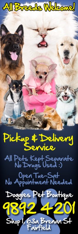 Doggies Pet Boutique - Promotion