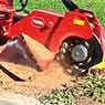 Arbator Tree Services - Pic 3