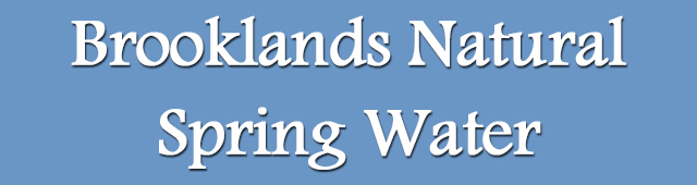 Brooklands Natural Spring Water - logo