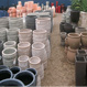 Bundaberg Wholesale Palms & Plants - Pic 3