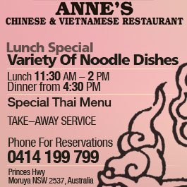 Anne's Chinese & Vietnamese Restaurant - Promotion