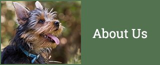 4 Paws B & B Boarding Kennel - Promotion 1