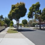 Landale Dental @ Box Hill - Pic 2