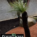 Mark's Landscape Supplies - Pic 6