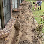 Termites Brisbane