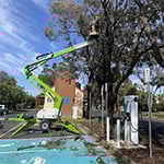 Nelson's Tree Services - Pic 6