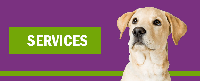 Redlynch Valley Vets - Promotion 3