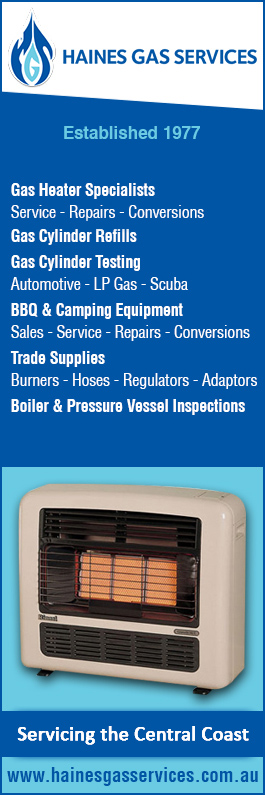 Gas Heater Repairs Central Coast on Sale, SAVE 45% - mpgc.net