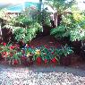 Mint Garden Centre - Pic 10