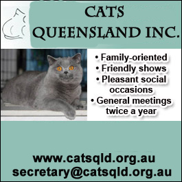 Cats Queensland Inc. - Promotion