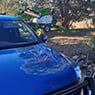 Phil's Tree Service - Pic 8