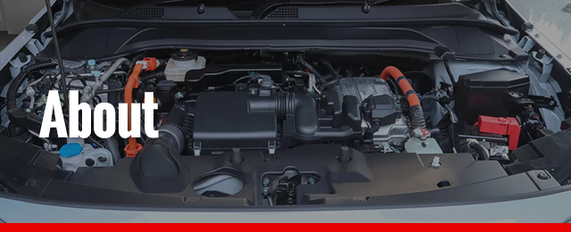 TVN AUTOMOTIVE AND MARINE - Promotion 2