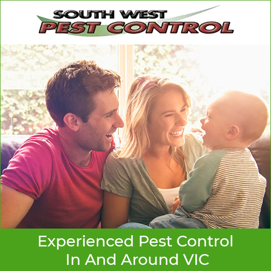 South West Pest Control - Promotion