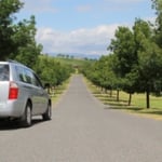 Hire an 8 seater car in the yarra valley.
