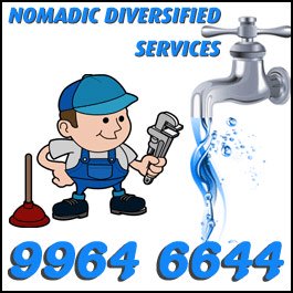 Nomadic Diversified Services - Promotion