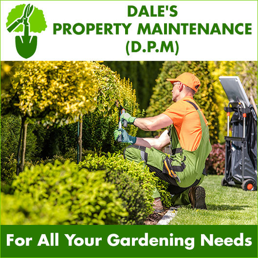 Dale's Property Maintenance (D.P.M) - Promotion