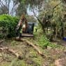 Hilltops Vegetation Services - Pic 2