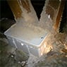Systems Pest Management Pty Ltd - Pic 10