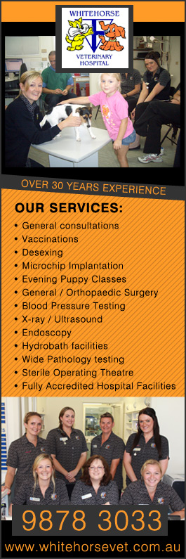 Whitehorse Veterinary Hospital - Promotion