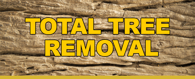 Maxi Mulch Tree Clearing - Promotion 1