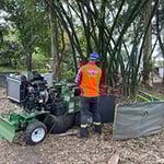 True Blue Tree & Stump Removal - Pic 10