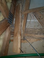 Picton Pest Control - Pic 4