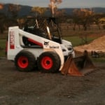 Bobcat