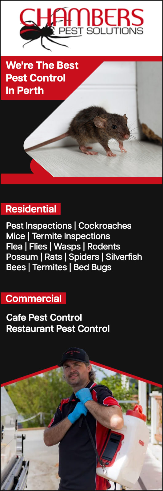 Chambers Pest Solutions - Promotion