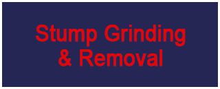 True Blue Tree & Stump Removal - Promotion 2