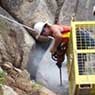 Jennings Drill & Blast Pty Ltd - Pic 4