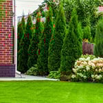 Skippen's Landscape & Building Supplies - Pic 9