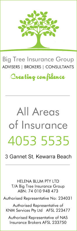 Big Tree Insurance Group - Promotion