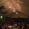 Gold Mines Bar & Bistro - Pic 5