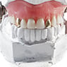 The Denture Clinic - Pic 4