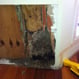 Termite workings