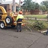 MSZ Tree Lopping Service - Pic 6