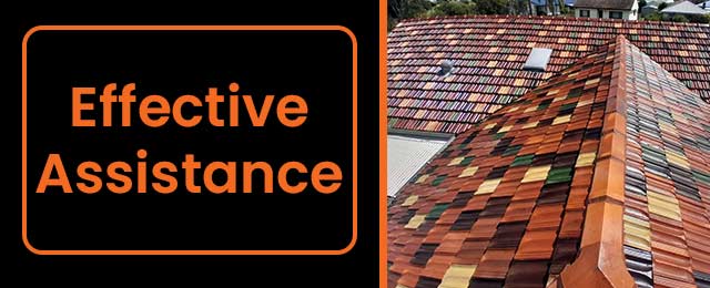 Reeno's Roof Restoration & House Painting - Promotion 3