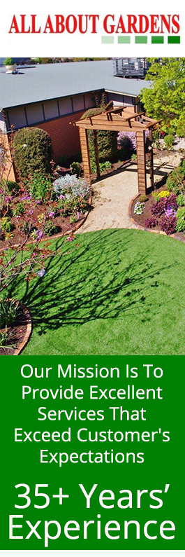 All About Gardens Landscaping Landscape Design 831