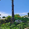 Phil's Tree Service - Pic 10